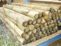 Zaun- und Weidepfosten